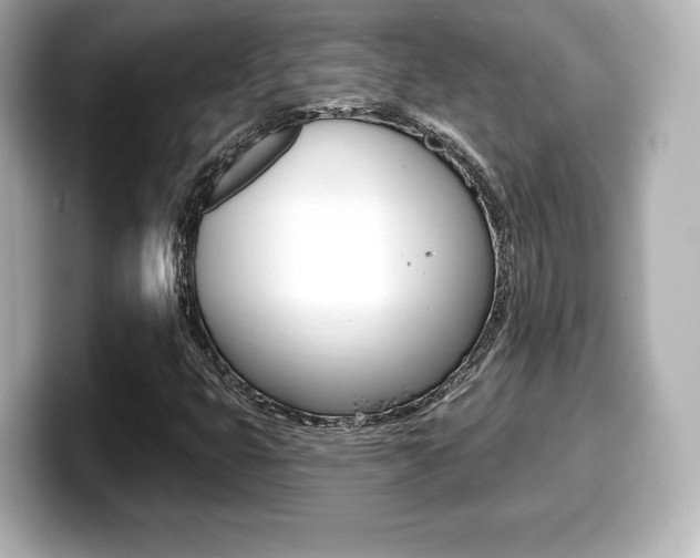 X0000099381399200805081149