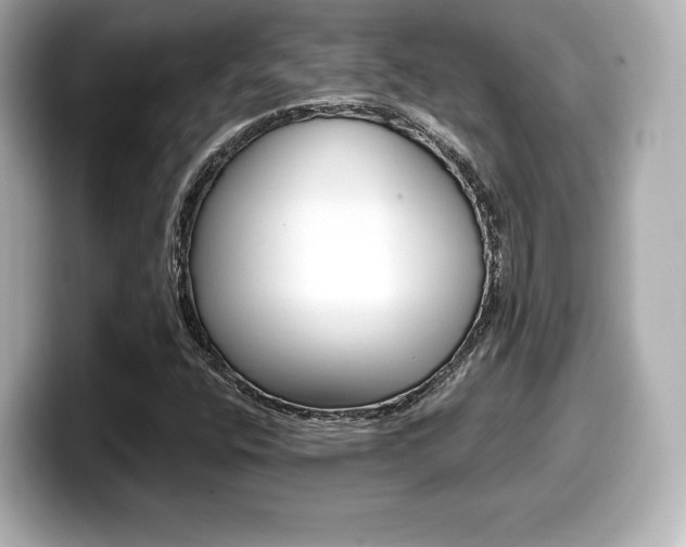 X0000099381400200805081149
