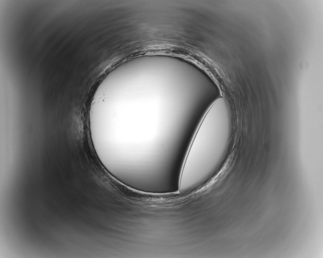 X0000099381401200805081149