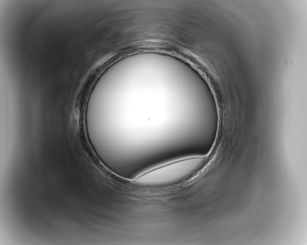X0000099381402200805081149