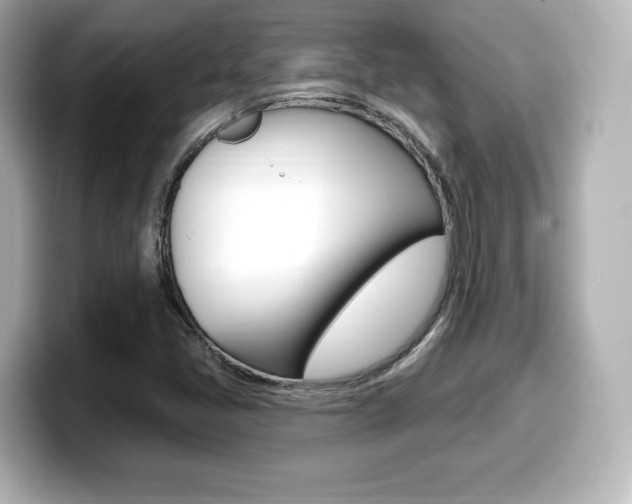 X0000099381405200805081149