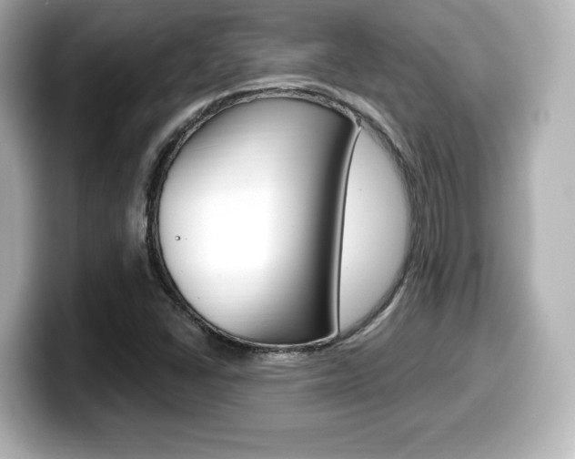 X0000099381406200805081149