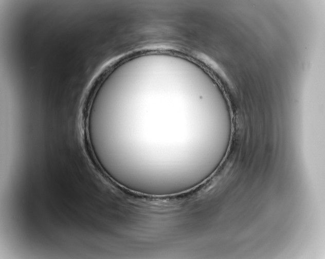 X0000099381408200805081150