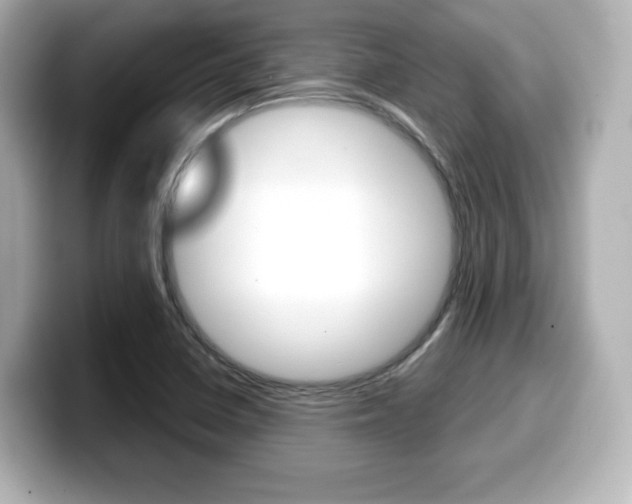 X0000099381410200805081150