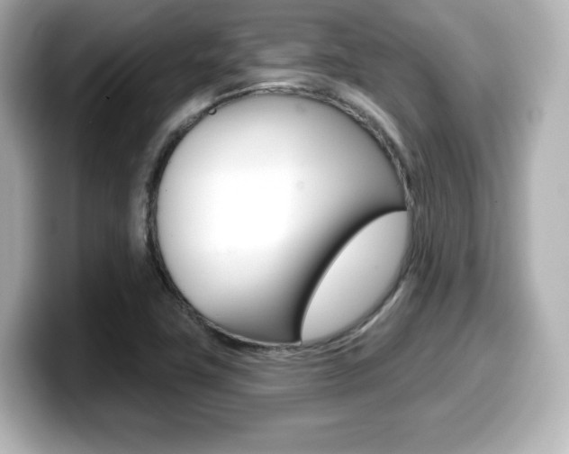 X0000099381411200805081150
