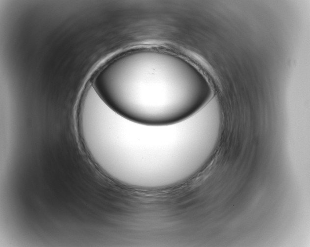 X0000099381412200805081150