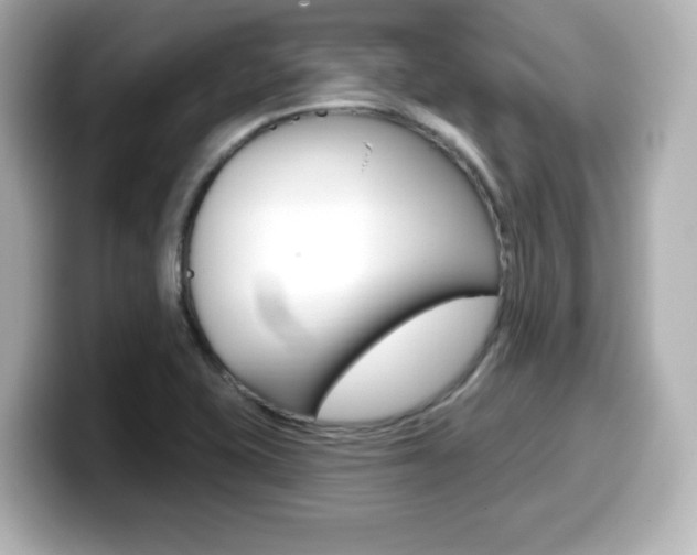 X0000099381415200805081150