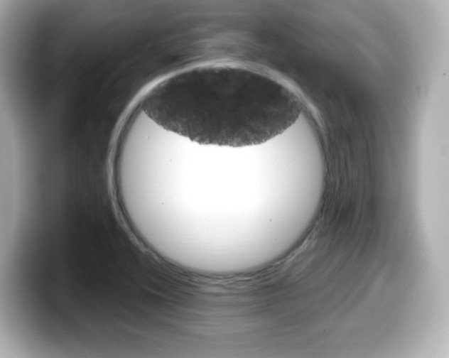X0000099381416200805081150