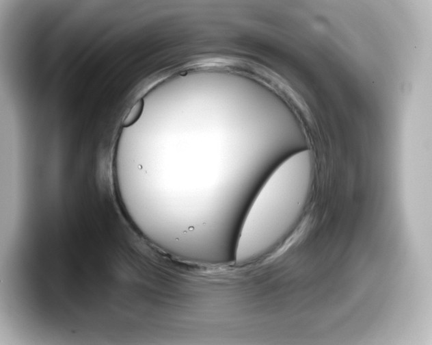 X0000099381417200805081150