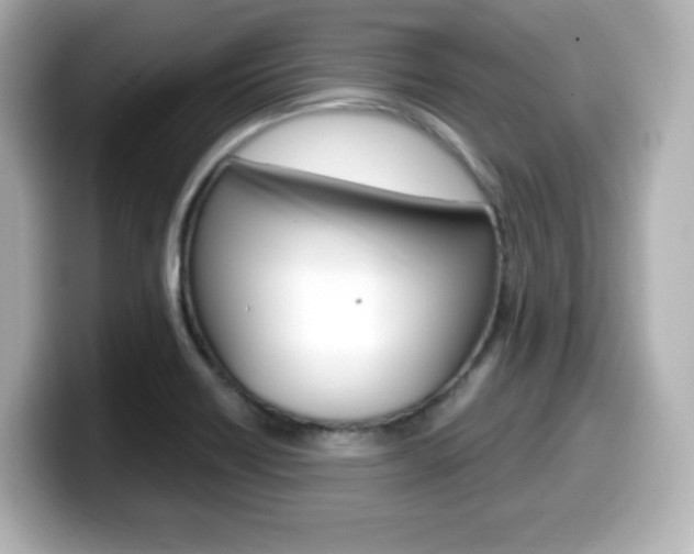X0000099381418200805081150