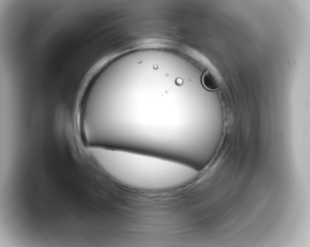 X0000099381419200805081150