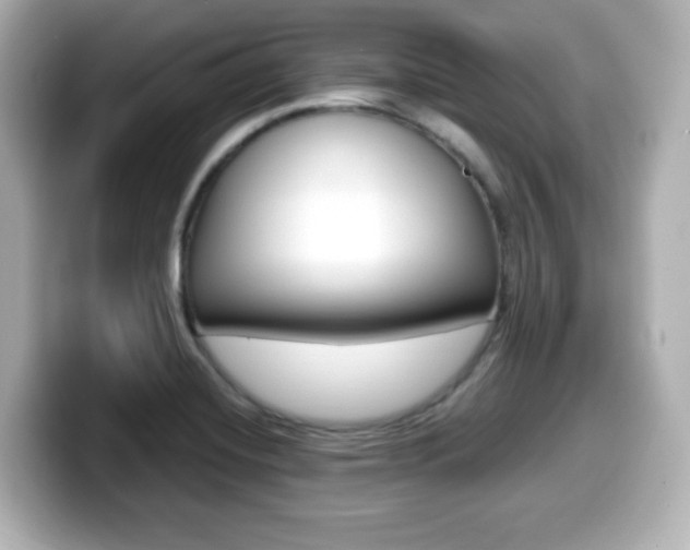 X0000099381420200805081150