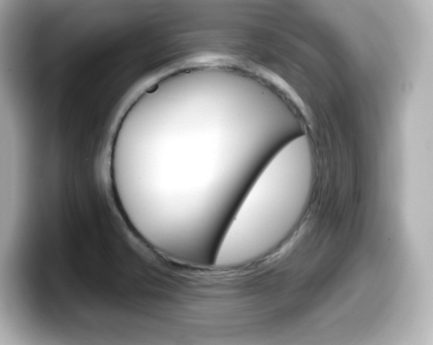 X0000099381421200805081150