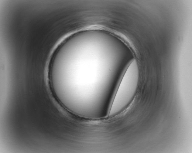 X0000099381422200805081150