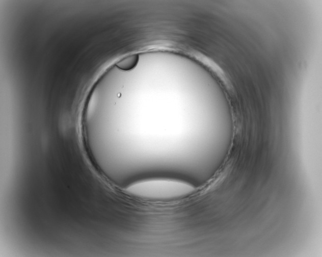 X0000099381423200805081150