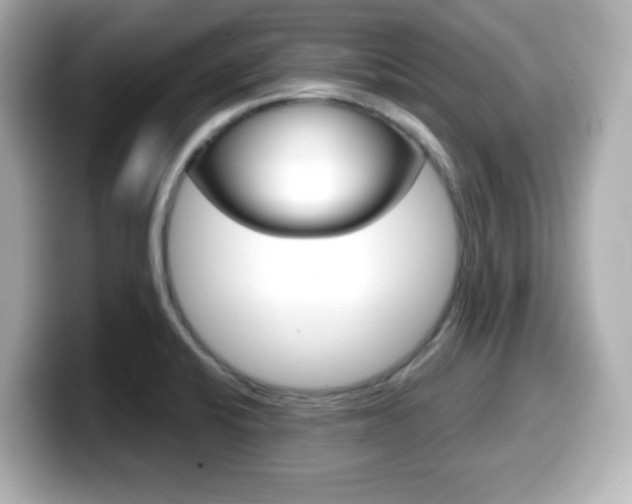 X0000099381424200805081150