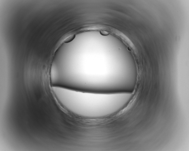 X0000099381425200805081150