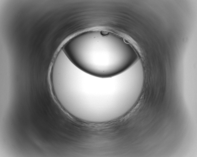 X0000099381428200805081150