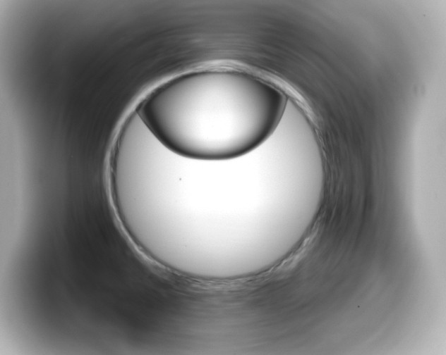 X0000099381430200805081150
