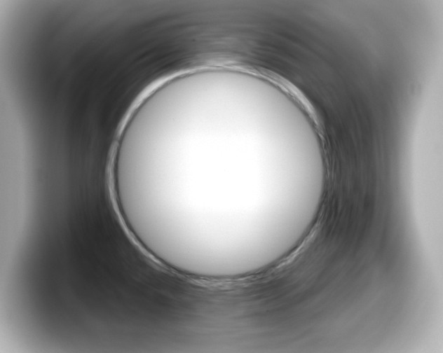 X0000099381432200805081150