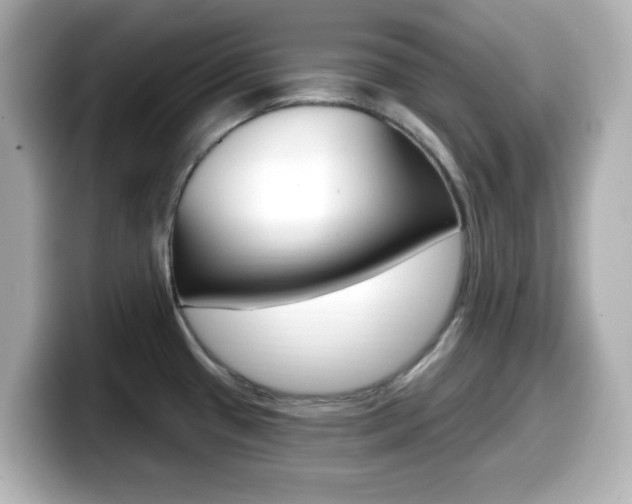 X0000099381433200805081150