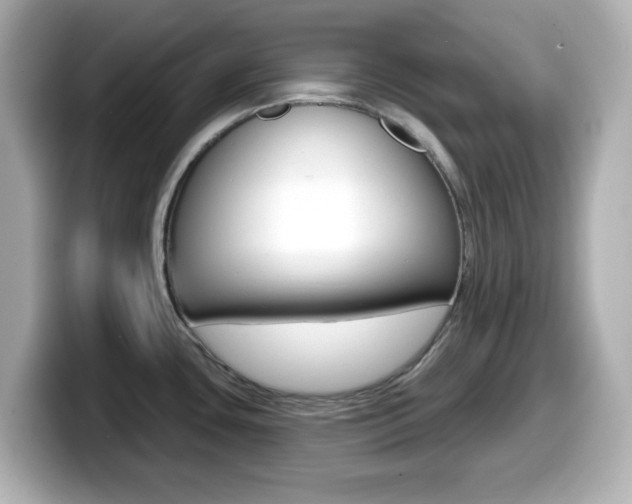 X0000099381435200805081150