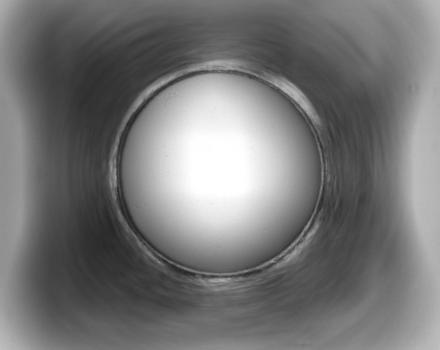 X0000099381436200805081150