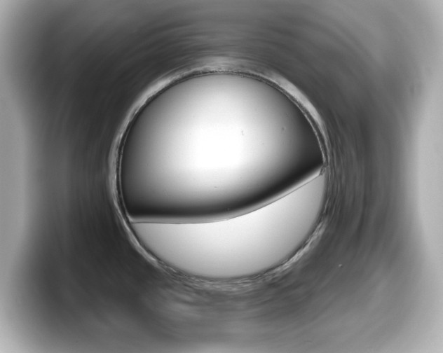 X0000099381437200805081150