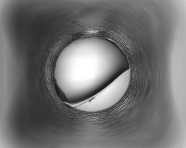 X0000099381441200805081149