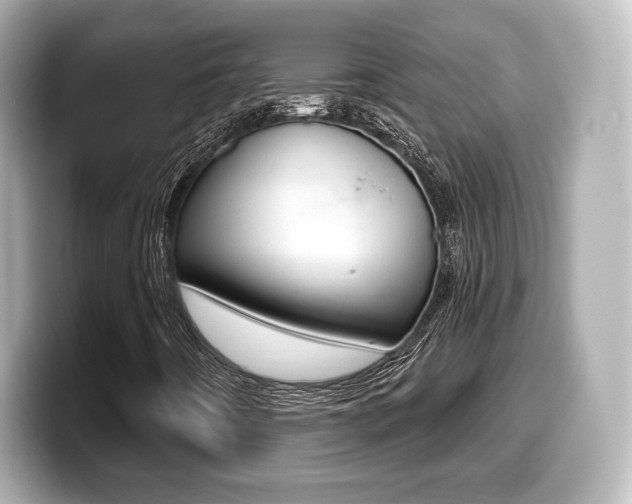 X0000099381442200805081149