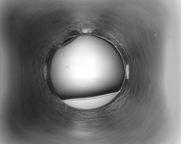 X0000099381443200805081149