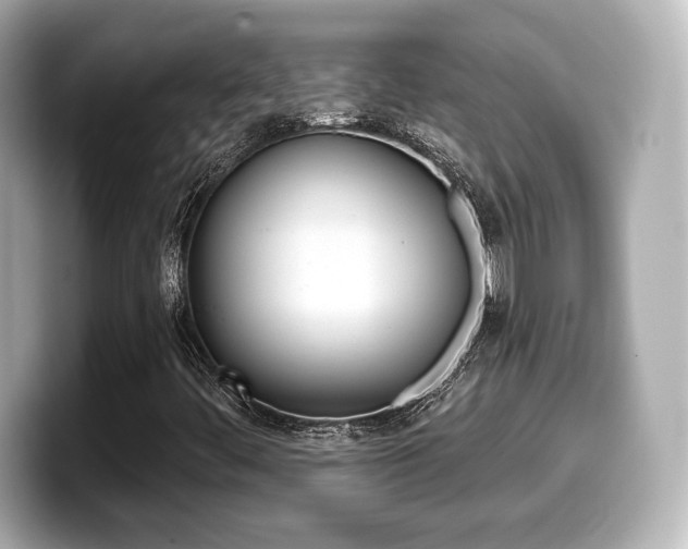 X0000099381444200805081149
