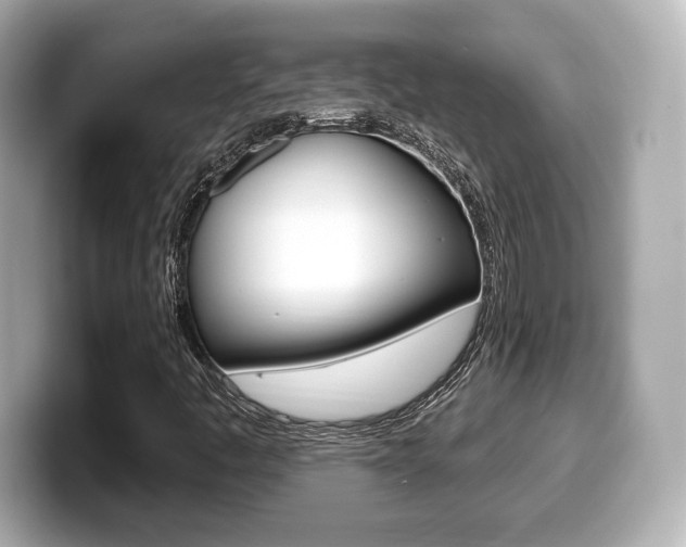 X0000099381445200805081149