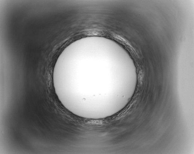 X0000099381446200805081149