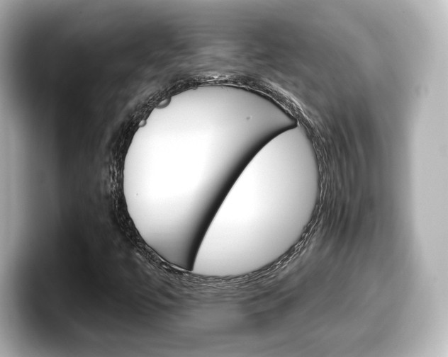 X0000099381447200805081149