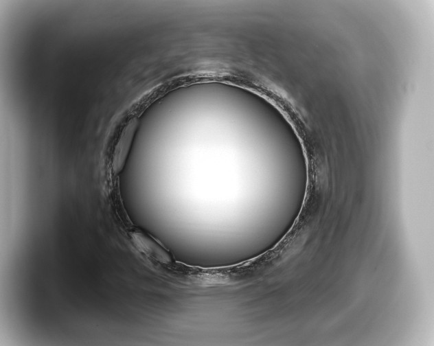 X0000099381448200805081149