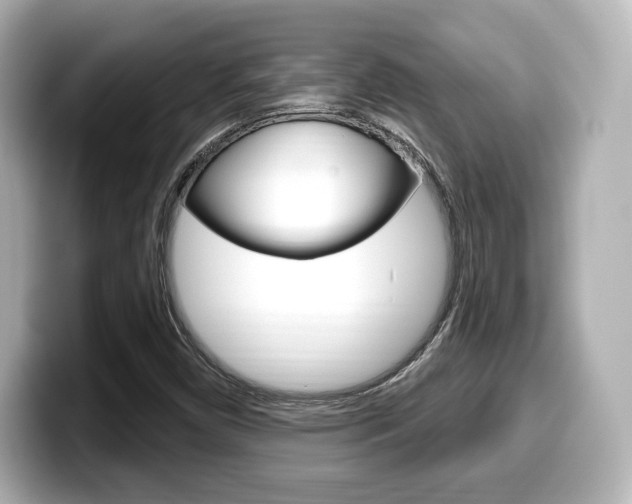 X0000099381450200805081149