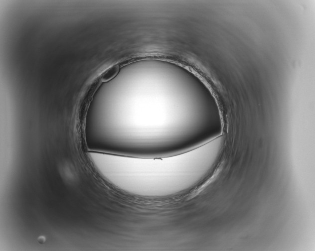 X0000099381453200805081149