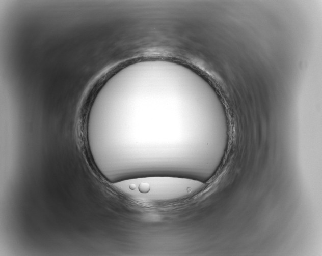 X0000099381454200805081149