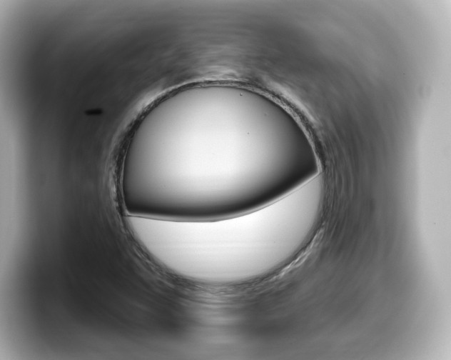 X0000099381455200805081149