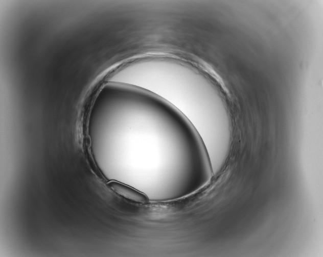 X0000099381456200805081149