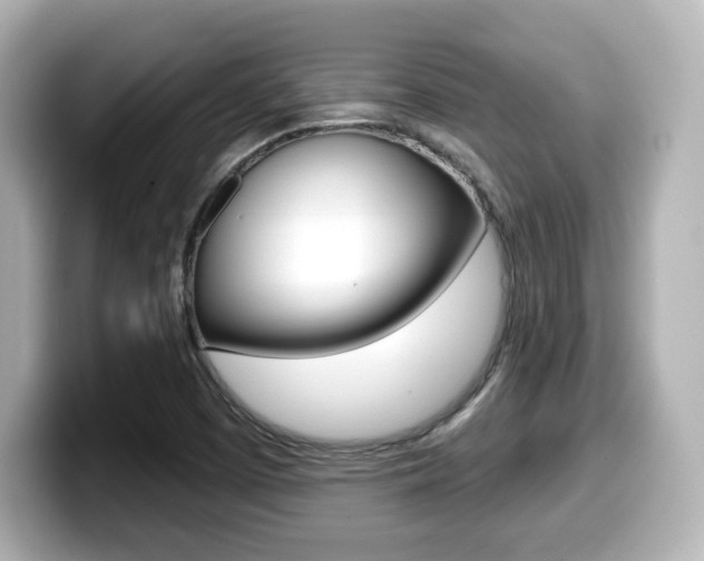 X0000099381457200805081149