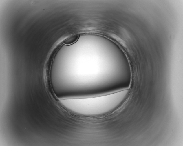 X0000099381458200805081149