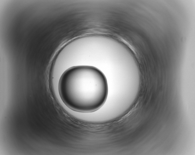 X0000099381459200805081149