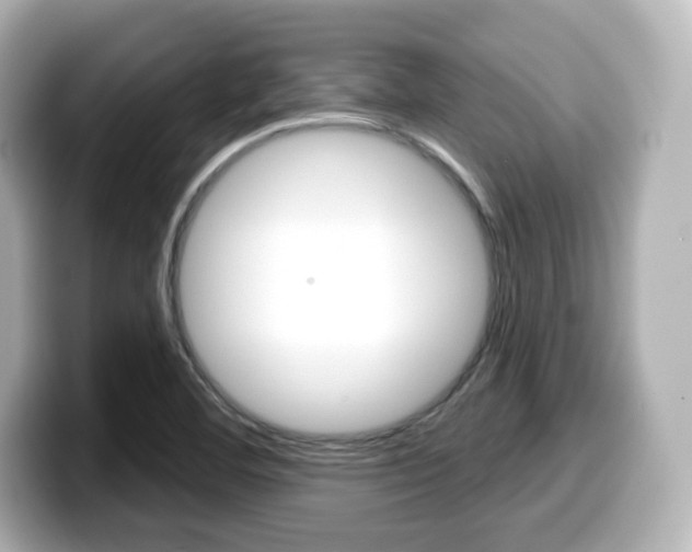 X0000099381460200805081149