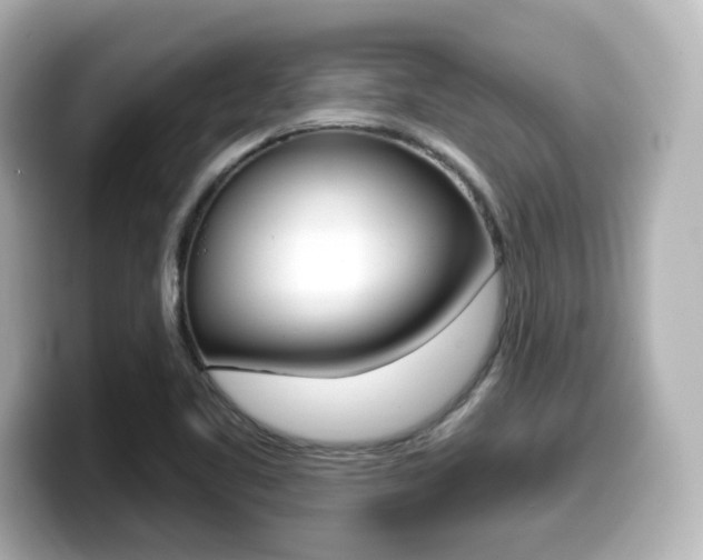 X0000099381461200805081149