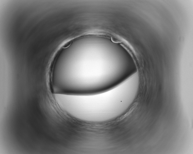 X0000099381463200805081149