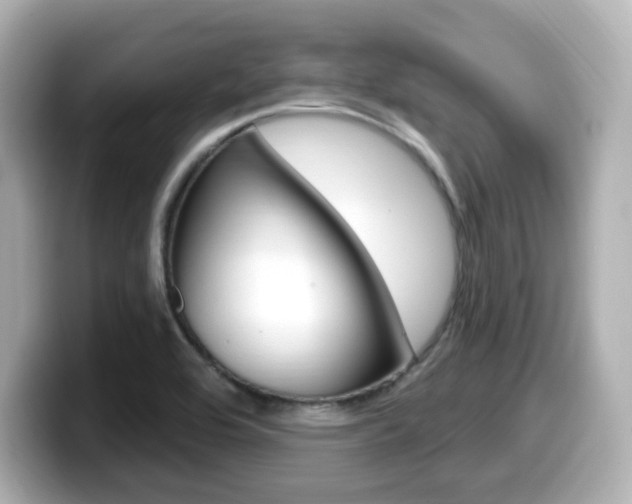 X0000099381464200805081149
