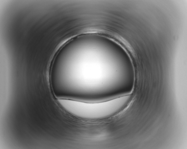 X0000099381465200805081149