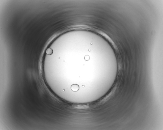 X0000099381466200805081149